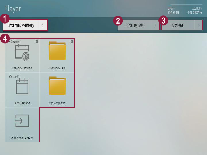 Player home screen with numbered UI regions