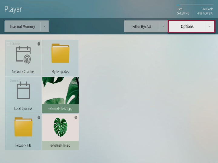 Player screen with Options highlighted